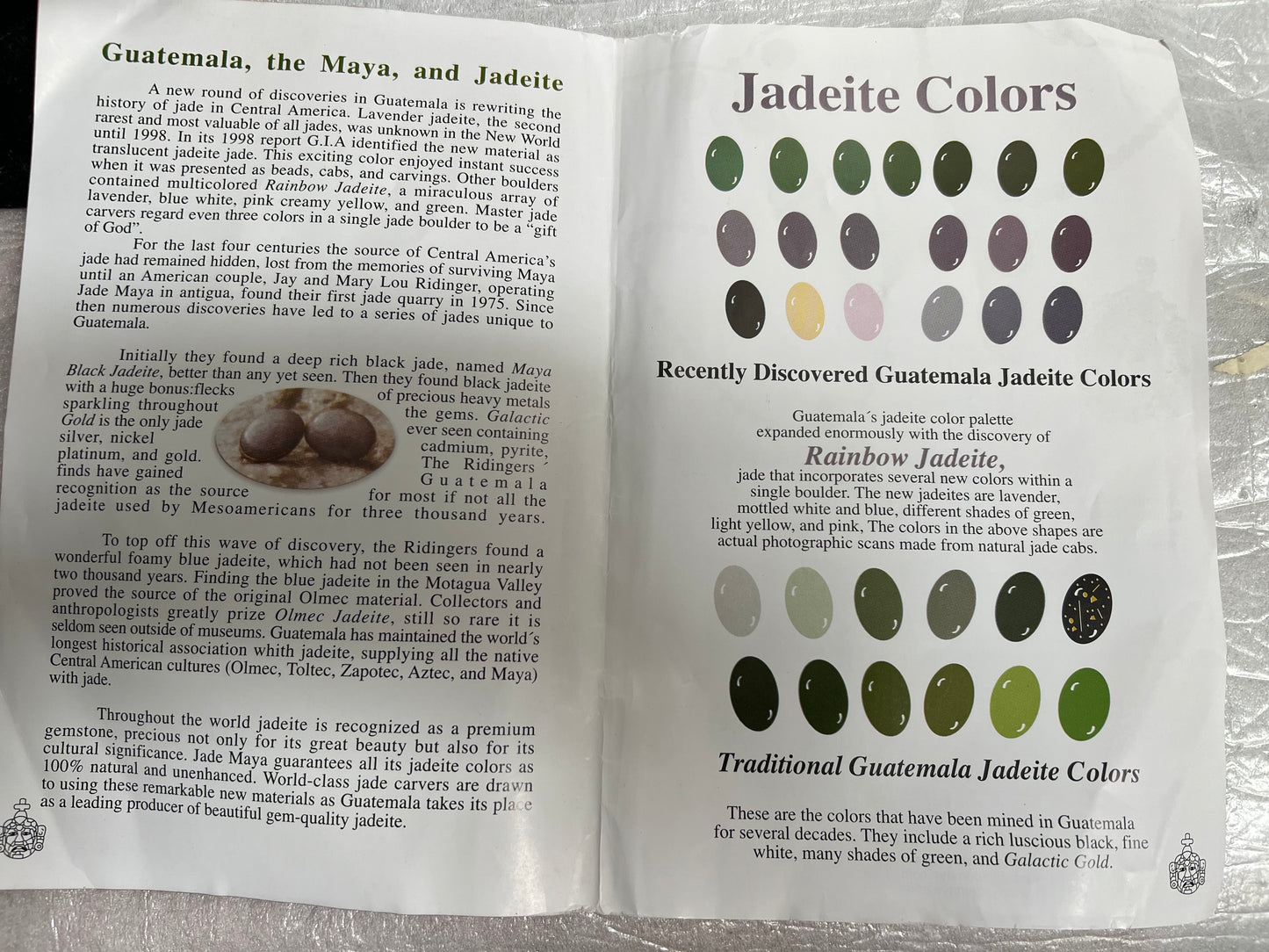 Genuine Guatemalan Jadeite Necklace with Dentalium Sea shell by Jade Maya